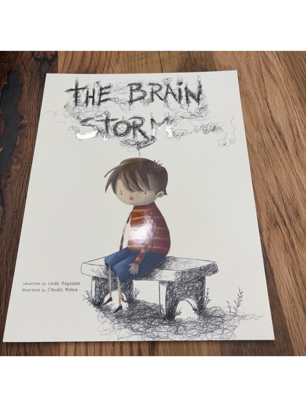 The Brain Storm Children’s Book New By Linda Ragsdale